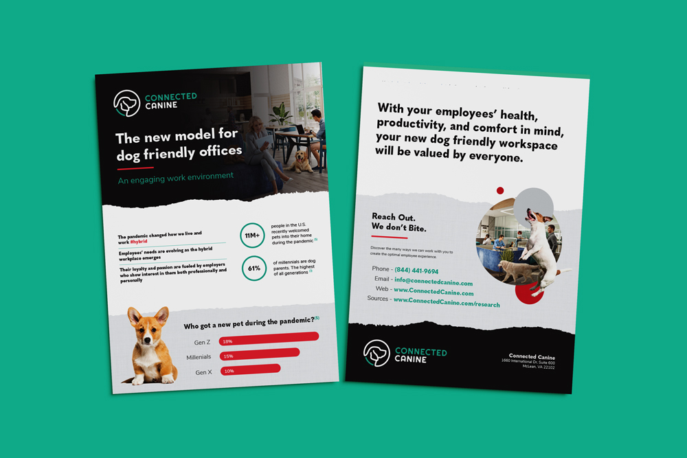 Brochure Design